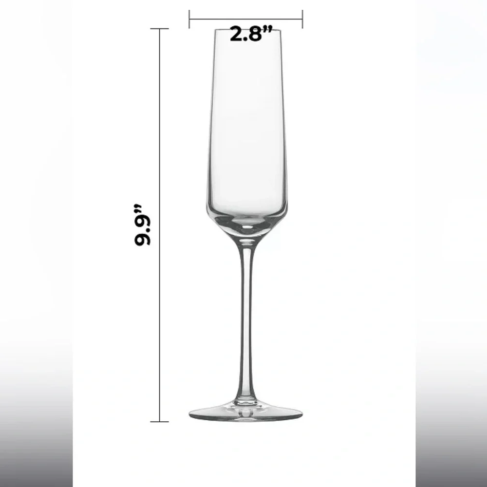New! 🥂🍾✨Crate&Barrel x Schott Zwiesel Champagne Flute